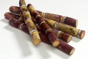 甘蔗熬水可以止咳嗎？來看看做法