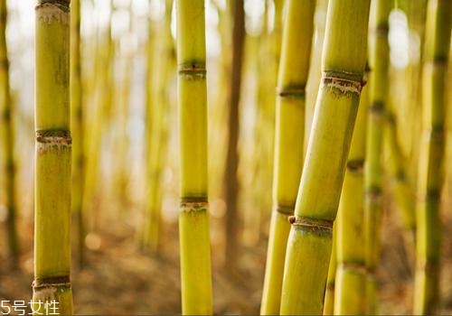 甘蔗熬水可以止咳嗎？來看看做法