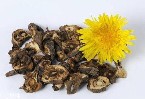 蒲公英和紅茶能一起喝嗎？混合起來功效多