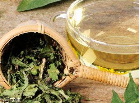 蒲公英用開水泡嗎？煮一煮效果會更好