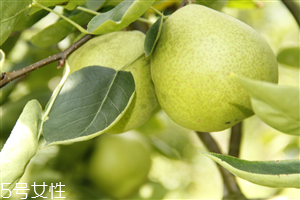 梨子煮熟吃有什么好處？熟梨的常見吃法