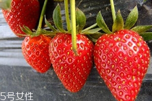 寶寶咳嗽可以吃草莓嗎？看是什么類型的咳嗽