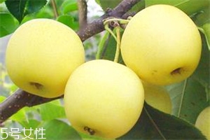 哺乳期吃梨有什么好處？梨子能做面膜