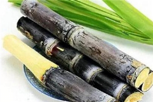 冬季吃甘蔗有什么好處？它被稱為冬季人參