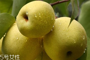 晚上吃梨子會胖嗎？梨不能和開水一起吃