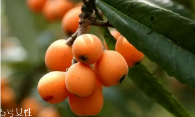 枇杷可以和梨一起吃嗎？桃子和梨不要一起吃