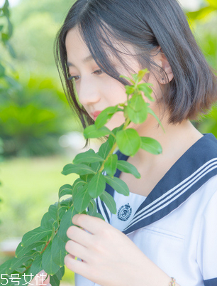 舒爾佳會反彈嗎？減肥不反彈的好方法