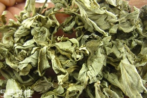 艾葉水可以洗外陰嗎？可以起到殺菌的作用