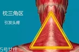 人體黃金三角區(qū)有哪些？養(yǎng)好了百病不擾
