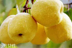 哪些人不宜吃水晶梨？水晶梨的功效與作用