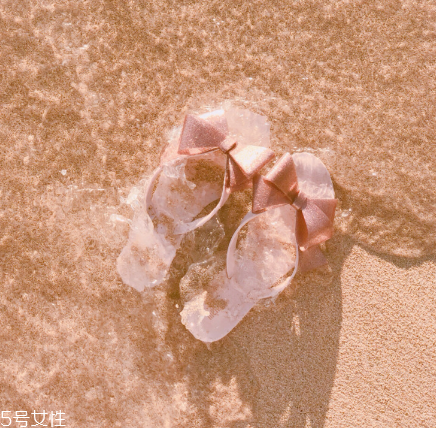 melissa是什么檔次？星光熠熠的小香鞋