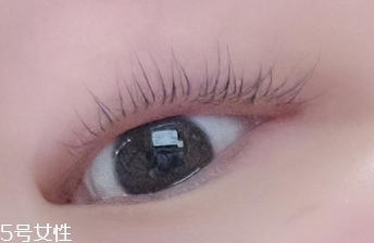 ettusais艾杜莎睫毛膏打底膏怎么用？睫毛一天不會塌