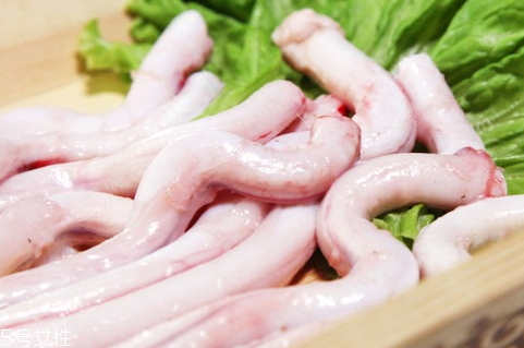 狗鞭怎么泡酒 狗鞭泡酒選材 狗鞭怎么泡酒 狗鞭泡酒選材