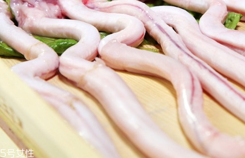 狗鞭怎么泡酒 狗鞭泡酒選材 狗鞭怎么泡酒 狗鞭泡酒選材