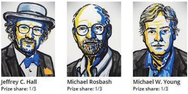 雅詩蘭黛小棕瓶精華+小棕瓶雙層面膜深度評(píng)測