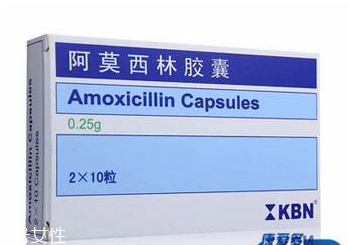 阿莫西林好還是羅紅霉素好？適合的才是最好的