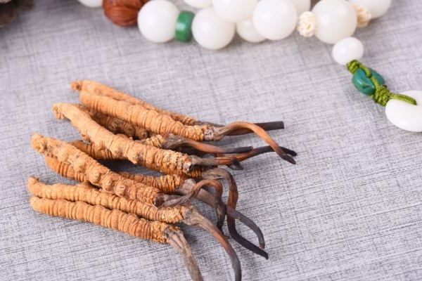 吃冬蟲夏草的好處有哪些？四大好處任你選