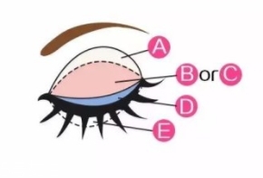 canmake五色啞光眼影03試色 新晉網(wǎng)紅勃艮第色盤(pán)