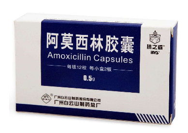 阿莫西林可以和牛奶一起吃嗎？牛奶和阿莫西林不沖突