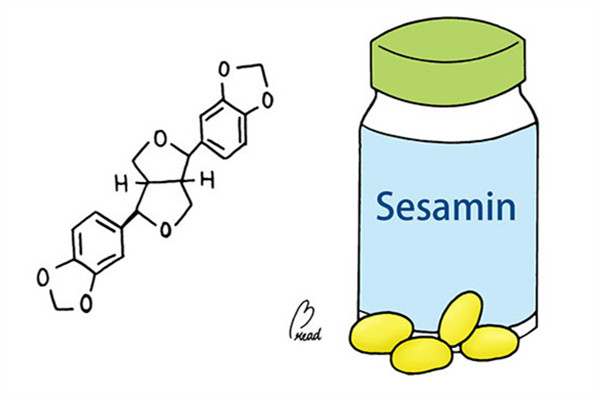 芝麻素是什么 芝麻素有助睡眠功效 芝麻素是什么 芝麻素有助睡眠功效