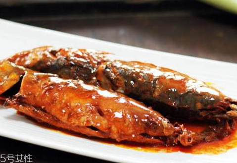 鲅魚可以冷凍嗎 鲅魚的保存技巧 鲅魚可以冷凍嗎 鲅魚的保存技巧