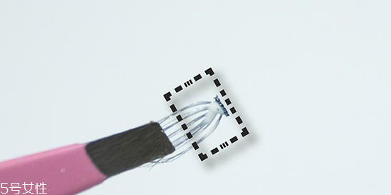 怎么使用單簇假睫毛？睫毛膏和假睫毛的區(qū)別