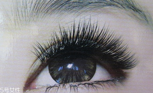 什么是種睫毛？讓你每日多睡三十分鐘