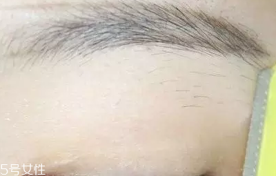 自然不做作的毛流眉怎么畫？紋理清晰有弧度