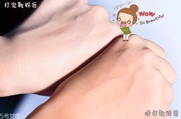 紀(jì)梵希散粉和悅詩風(fēng)吟散粉哪個好？