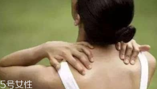 富貴包是什么??？姿態(tài)優(yōu)美少犯病