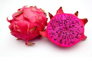 車?yán)遄涌梢院突瘕埞黄鸪詥?二者不相克 車?yán)遄涌梢院突瘕埞黄鸪詥?二者不相克