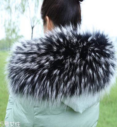 大毛領(lǐng)怎么打理？大毛領(lǐng)帶你度過溫暖冬季