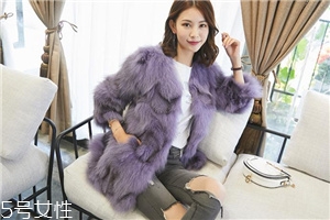 皮草的毛亂了怎么辦？巧用吹風(fēng)機(jī)輕松解決