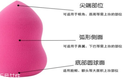 立體化妝粉撲有哪些用途？小身材大功效