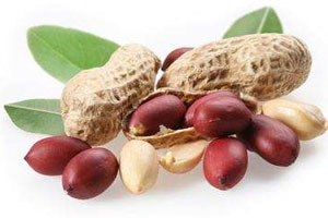 烤箱烤帶殼花生時(shí)間溫度 烤箱烤帶殼花生技巧 烤箱烤帶殼花生時(shí)間溫度 烤箱烤帶殼花生技巧