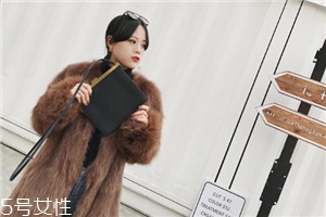 皮草和貂的區(qū)別是什么？貂是皮草的一種