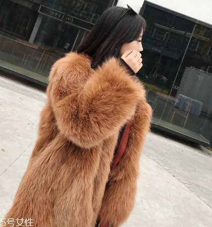 皮草和貂哪個(gè)貴？它們的價(jià)值你清楚嗎