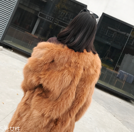 皮草和貂哪個(gè)貴？它們的價(jià)值你清楚嗎