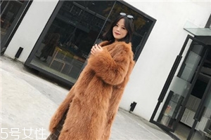 皮草和貂哪個(gè)貴？它們的價(jià)值你清楚嗎