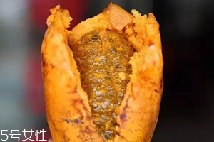 牛卵坨籽可以吃嗎？看看它的神奇功效