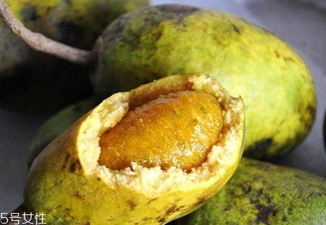 牛卵坨籽可以吃嗎？看看它的神奇功效