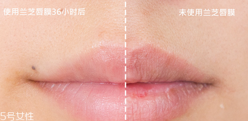 蘭芝唇膜小孩能用嗎？蘭芝唇膜正確使用方法