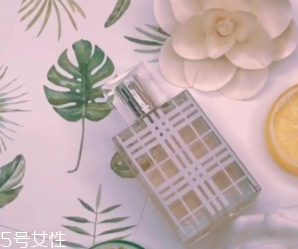 女士香水什么味道好？這6款香水親切又高級