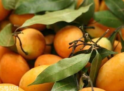 枇杷芒怎么吃？枇杷芒的皮可以吃