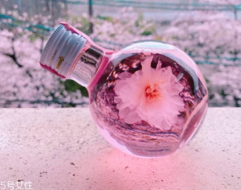 奈良金箔櫻花酒多少錢？奈良櫻花酒好喝嗎