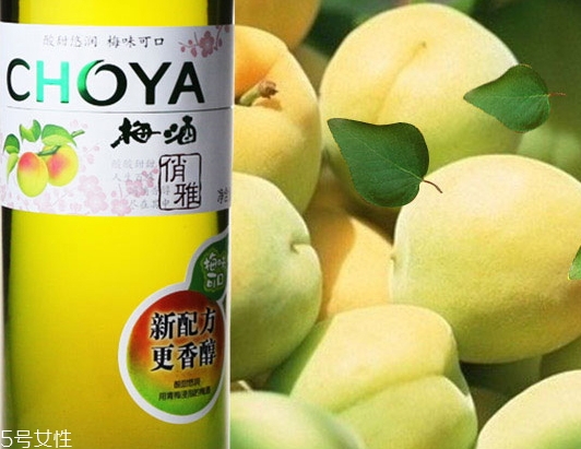 choya梅酒多少錢？多少度？