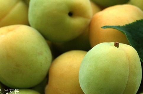 choya梅酒多少錢？多少度？