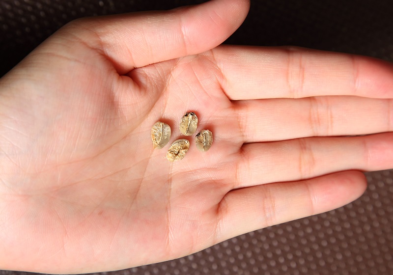 咖啡豆怎么挑選 選好保存更重要 咖啡豆怎么挑選 選好保存更重要