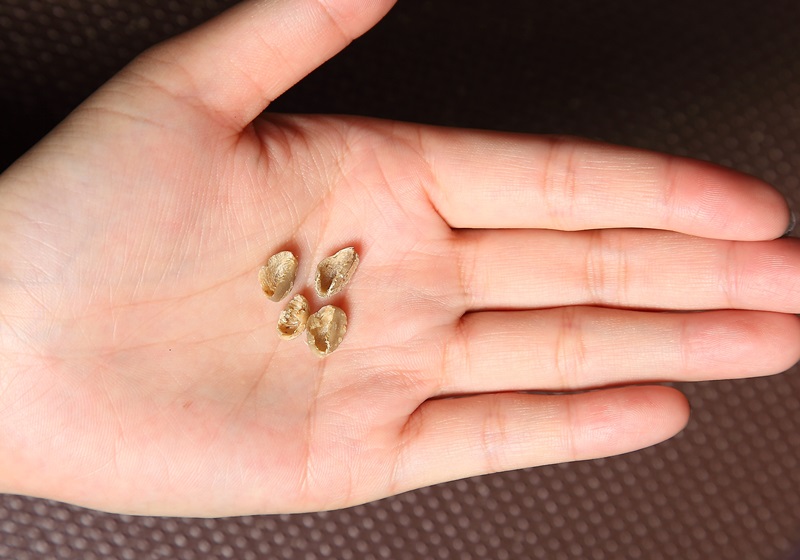 咖啡豆怎么挑選 選好保存更重要 咖啡豆怎么挑選 選好保存更重要