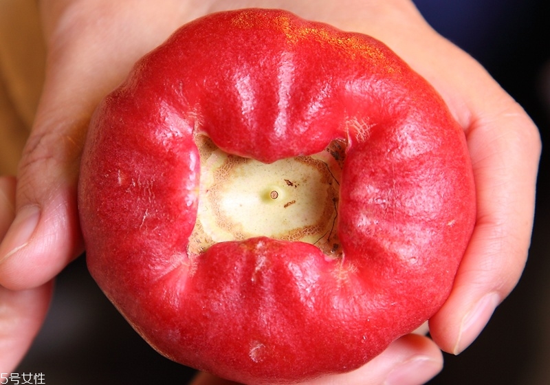 蓮霧怎么挑選 首選飽滿(mǎn)又紅潤(rùn)的蓮霧 蓮霧怎么挑選 首選飽滿(mǎn)又紅潤(rùn)的蓮霧